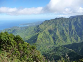 Schamanische Fernbehandlung